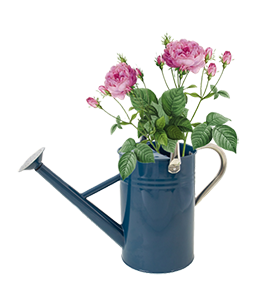 blue water can clipart with roses