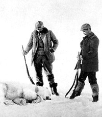 polar-bear-facts-killed-polar-bear