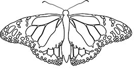 butterfly coloring pages printable