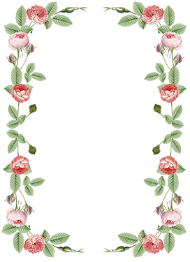 rose border frame pink