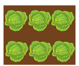salad bed clipart