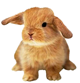 Easter sidebar clipart
