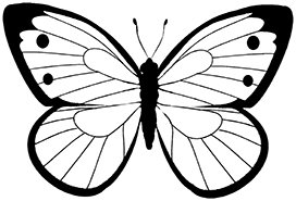 realistic butterfly coloring page