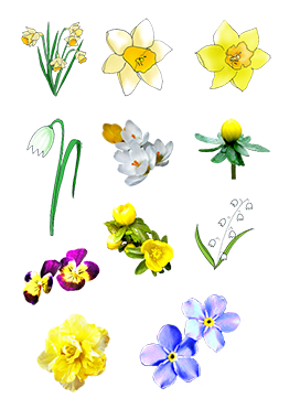 small spring flower clipart