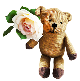 teddy bear and rose