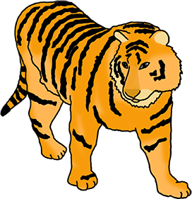tiger with stripes drawing colored