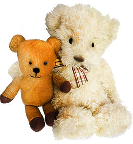 Two good Teddy friends