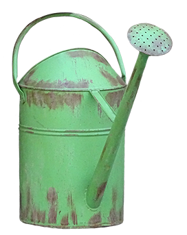 old green water can clipart