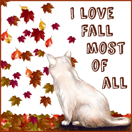 I love fall most of all with white cat