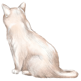 white cat seen from the back drawing