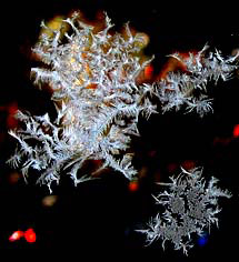 winter pictures ice pattern