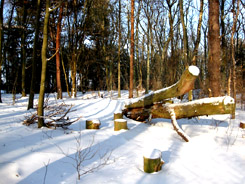 winter pictures snow scenes landscape