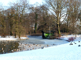 winter pictures small house birds